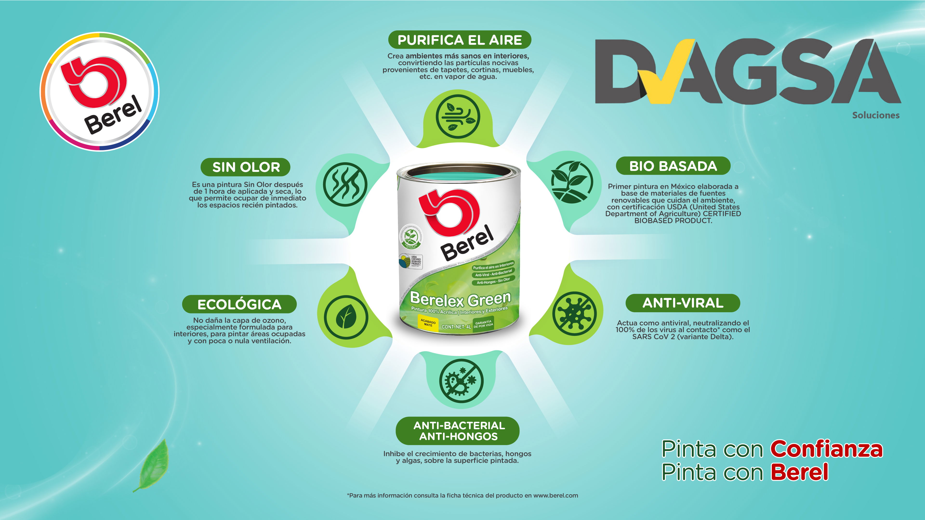 INFOGRAFIA-BERELEX-GREEN-01.jpg
